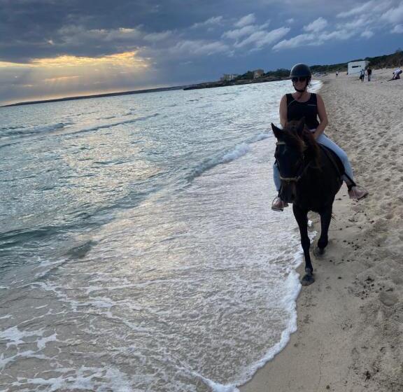 تختخواب و صبحانه Studio Doppelzimmer 2 Pers Mit Terrasse Und Pool Auf Finca Mallorca