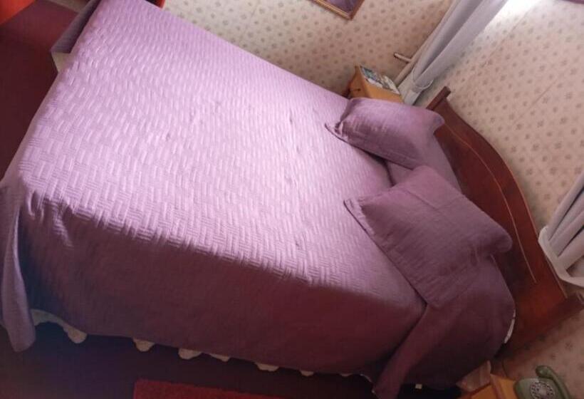 בית מלון כפרי Alerce Nativo