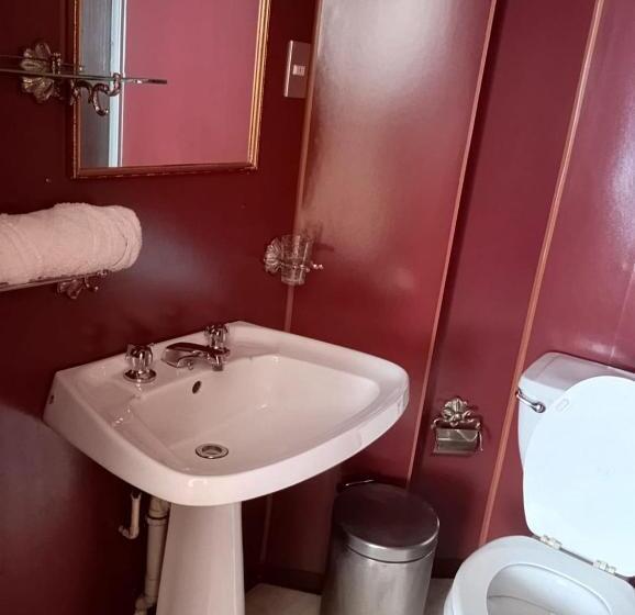 בית מלון כפרי Alerce Nativo