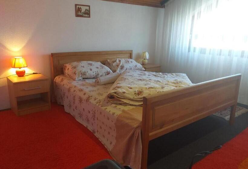 پانسیون Apartman Ramić
