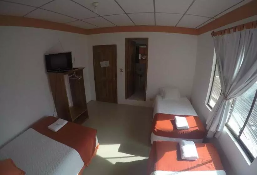 Majatalo Hospedaje Sea Lions