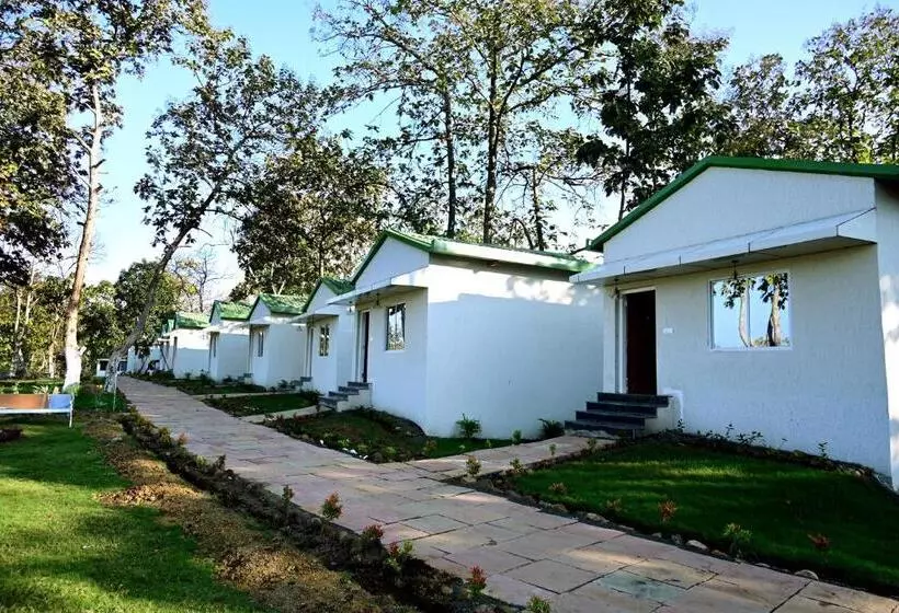 The Golden Woods Resort