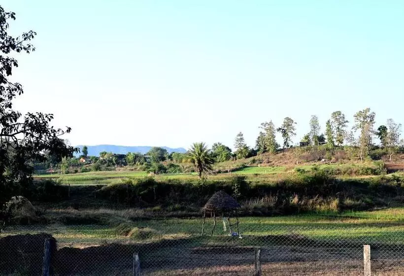 The Golden Woods Resort