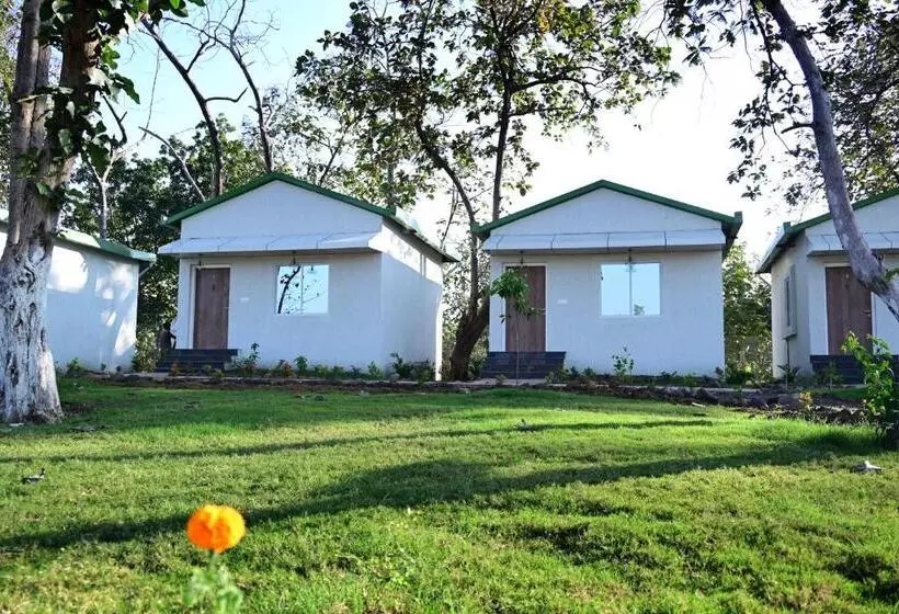 The Golden Woods Resort