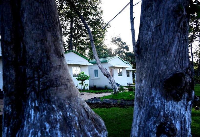 The Golden Woods Resort