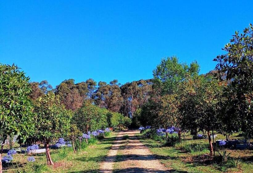 צימר It S Bonza! At Mill About Vineyard