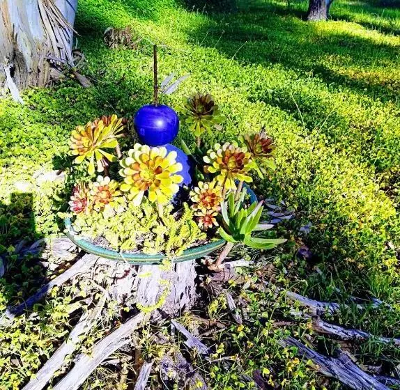 Aamiaismajoitus (B&B) It S Bonza! At Mill About Vineyard