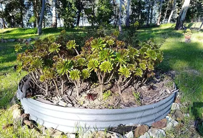 Aamiaismajoitus (B&B) It S Bonza! At Mill About Vineyard