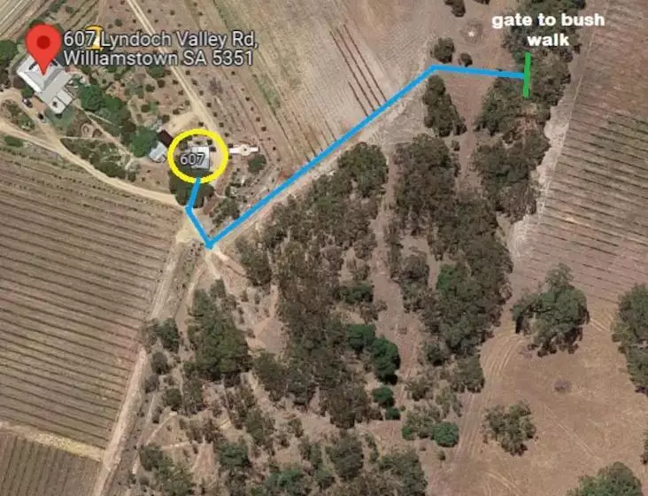 Aamiaismajoitus (B&B) It S Bonza! At Mill About Vineyard