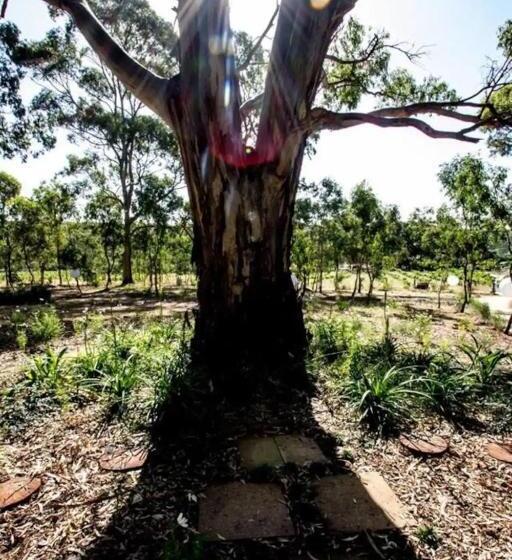 צימר It S Bonza! At Mill About Vineyard