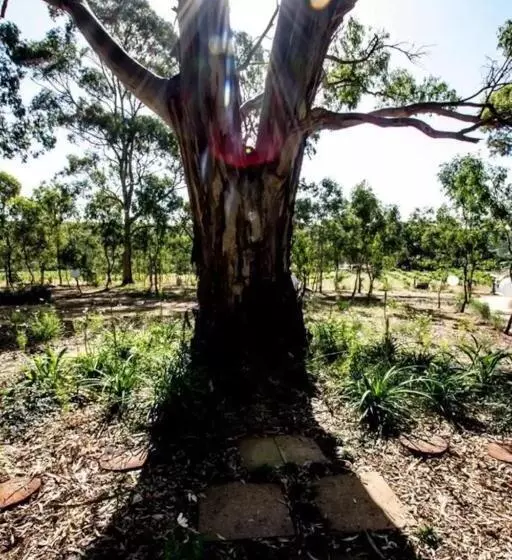 Aamiaismajoitus (B&B) It S Bonza! At Mill About Vineyard