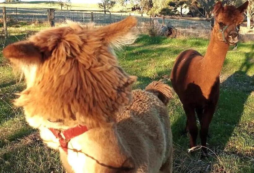 צימר It S Bonza! At Mill About Vineyard