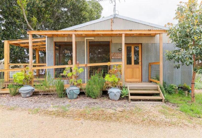 צימר It S Bonza! At Mill About Vineyard