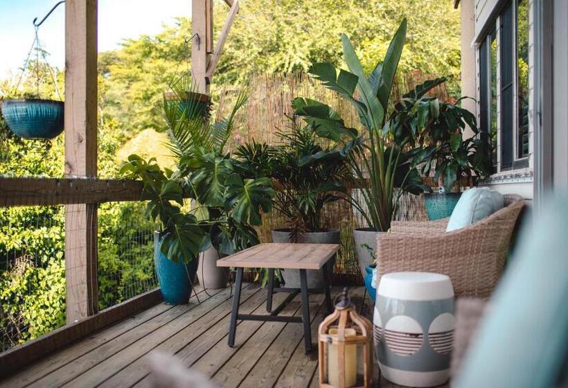 Cruz Bay Tropical Condo