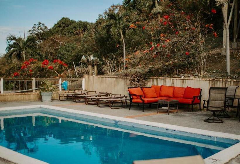 Cruz Bay Tropical Condo