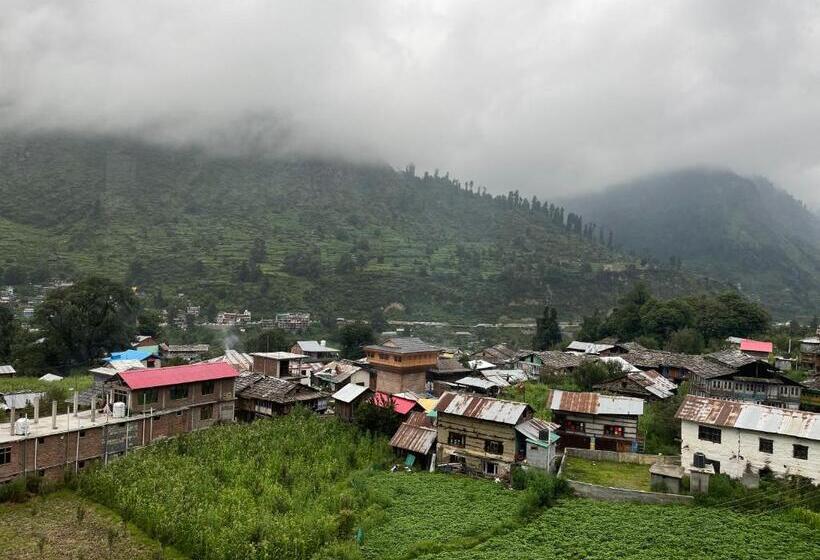 Отель Marigold , Pulga