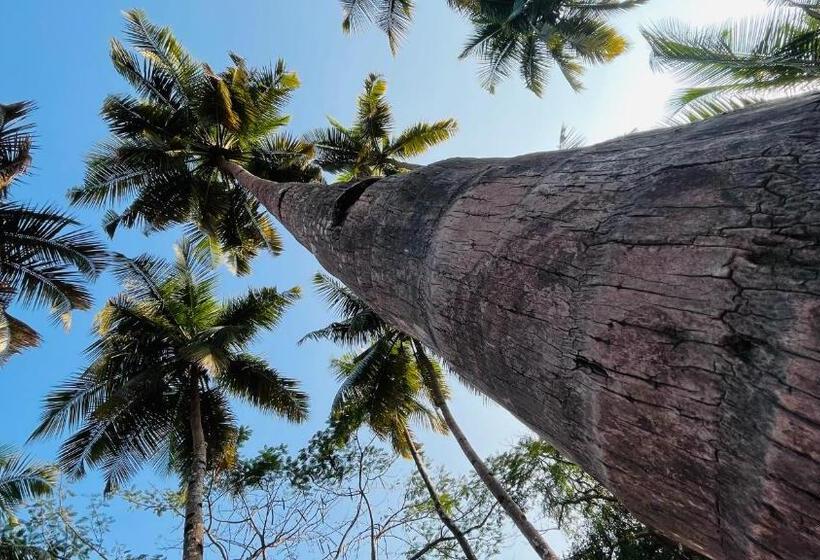 Pensão Lakshdeep Cottages
