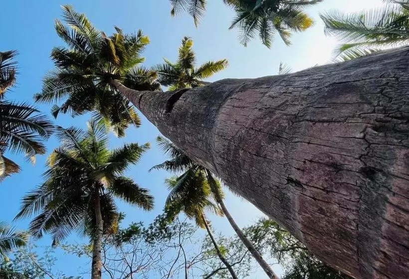 ペンション Lakshdeep Cottages