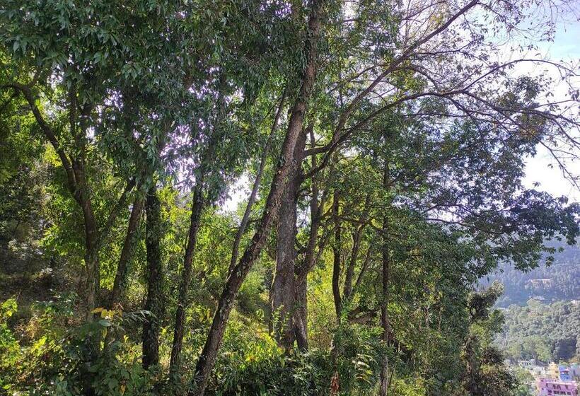 膳宿费 Nirvana Home Stay