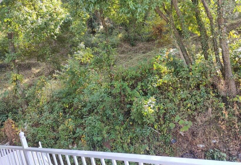 膳宿费 Nirvana Home Stay