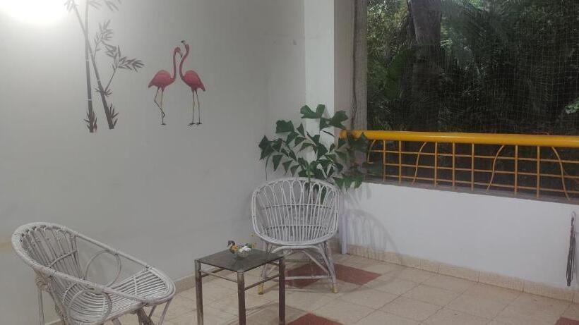 پانسیون Serenity