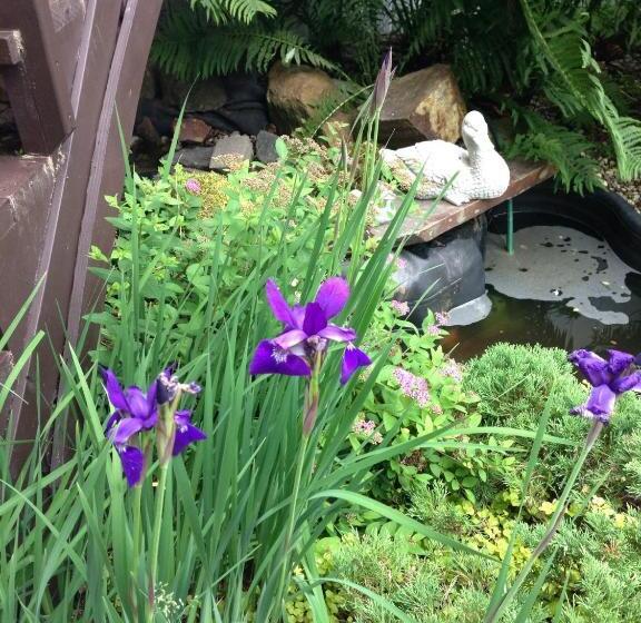 צימר Gite Les P Tits Pommiers