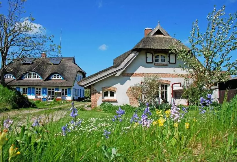 ホテル Ferienhaus Unterm Reetdach