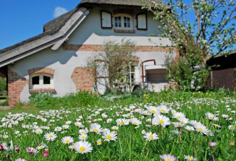 Отель Ferienhaus Unterm Reetdach