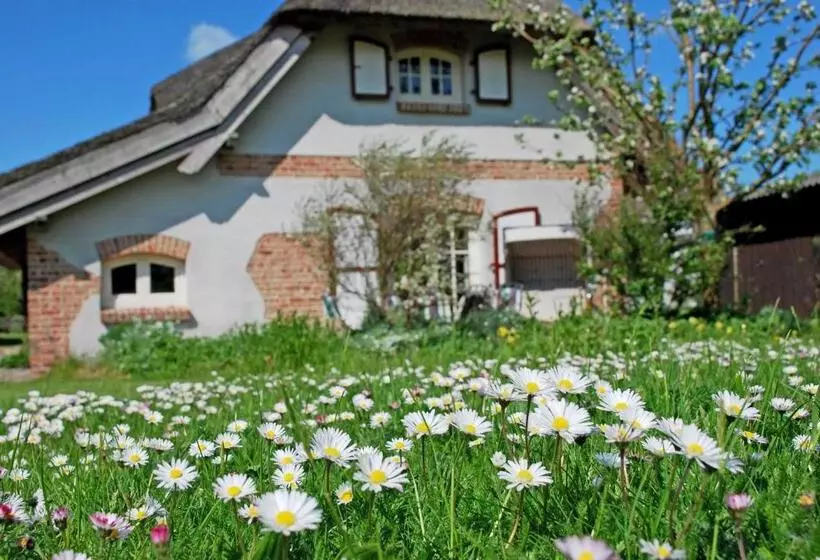 ホテル Ferienhaus Unterm Reetdach