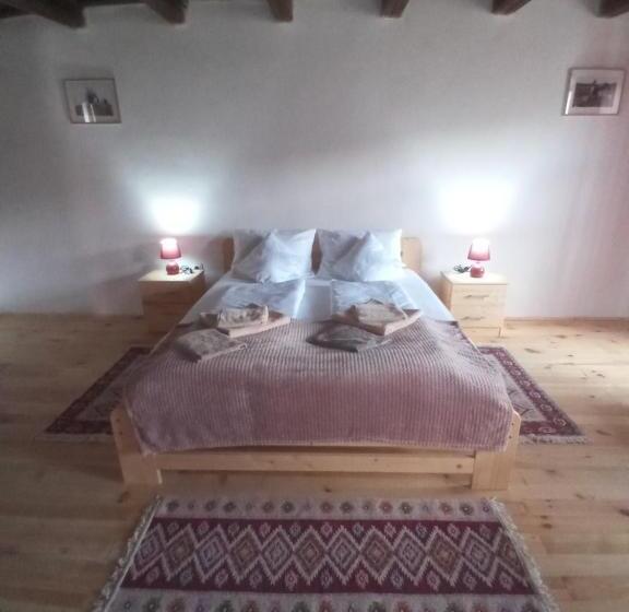 Hotel Pensiunea Casa Hann