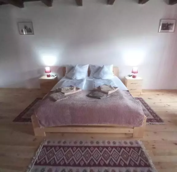 ホテル Pensiunea Casa Hann