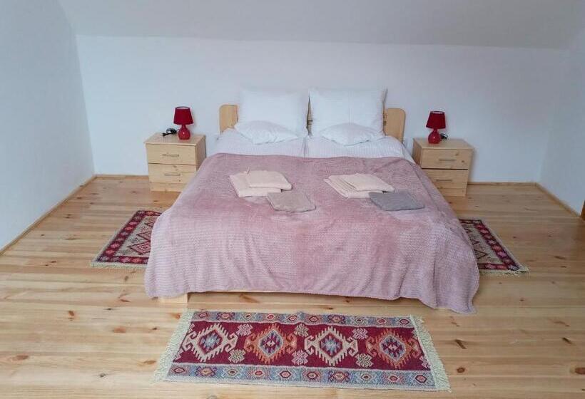 Hotel Pensiunea Casa Hann