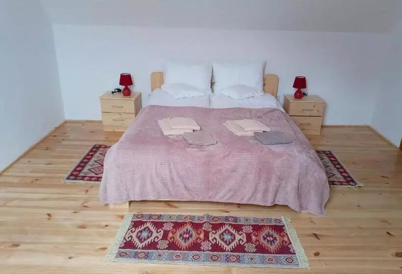 ホテル Pensiunea Casa Hann