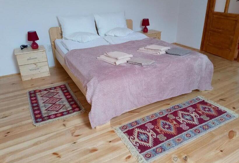 Hotel Pensiunea Casa Hann