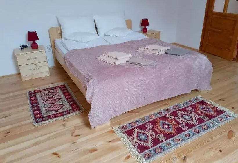 ホテル Pensiunea Casa Hann