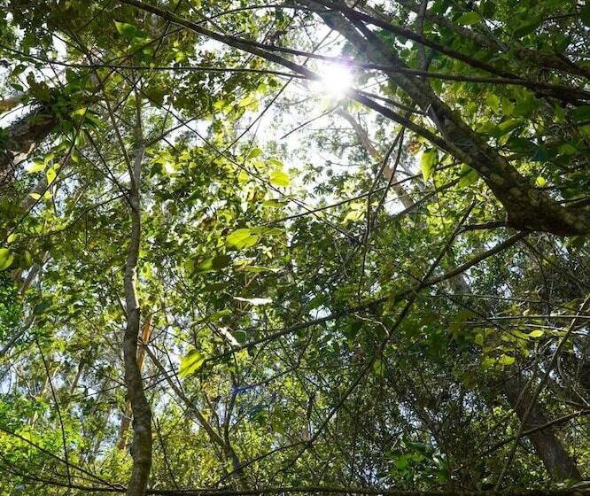 ホテル Ribera La Paz