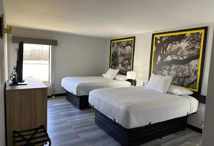 Hotelli Super 8 By Wyndham Alexandria La