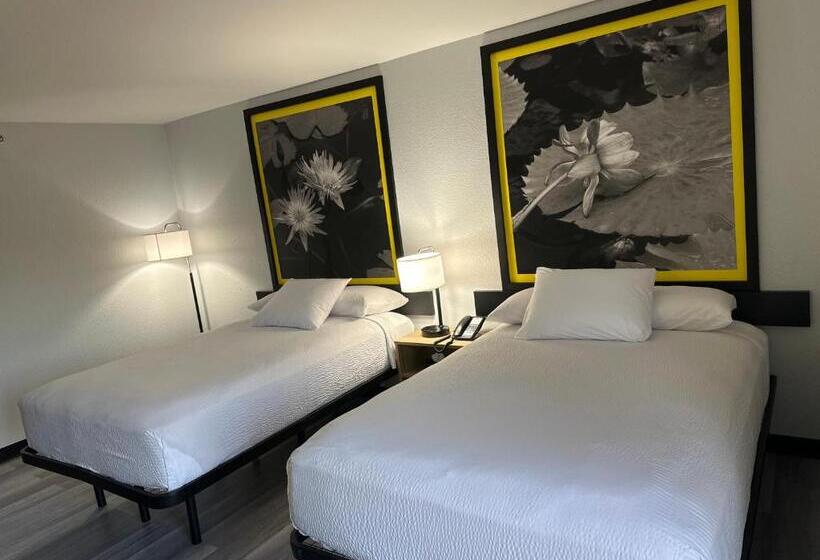 בית מלון כפרי Super 8 By Wyndham Alexandria La