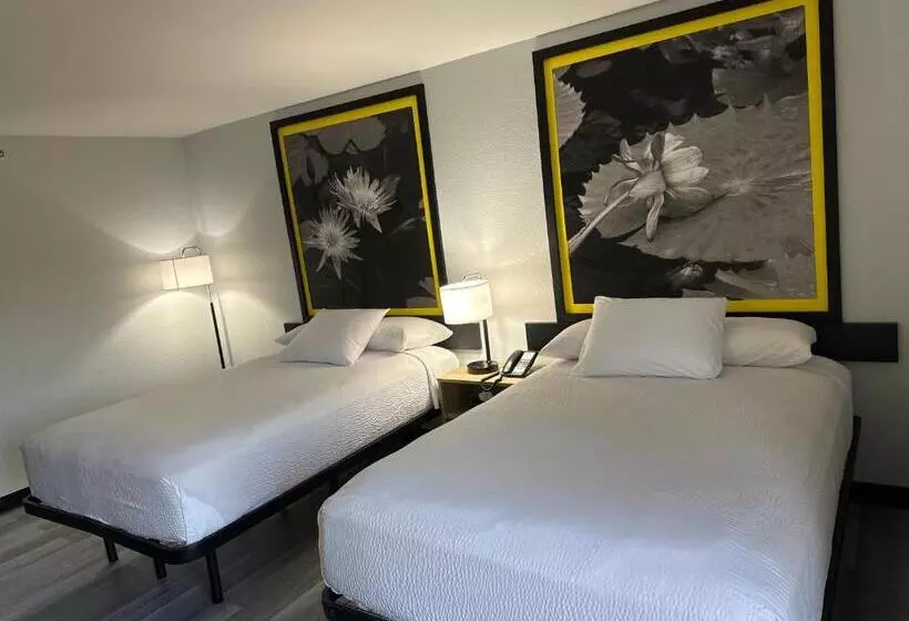 Hotelli Super 8 By Wyndham Alexandria La