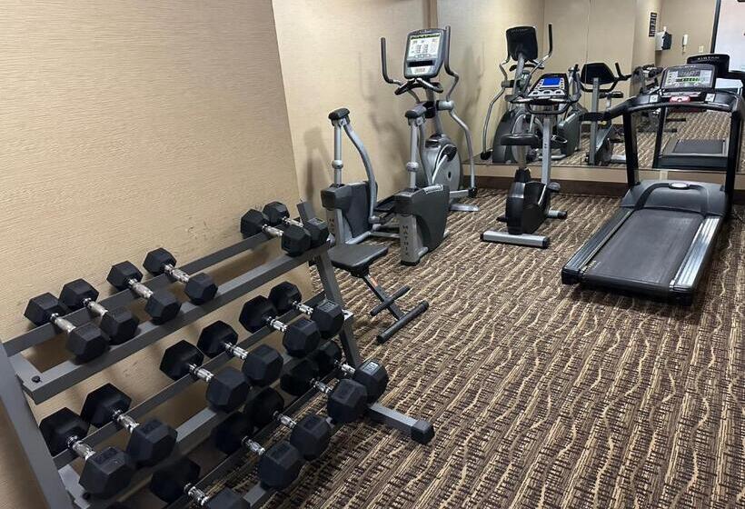 בית מלון כפרי Super 8 By Wyndham Alexandria La