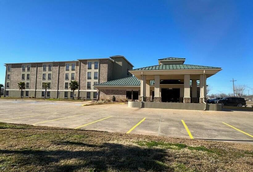 בית מלון כפרי Super 8 By Wyndham Alexandria La