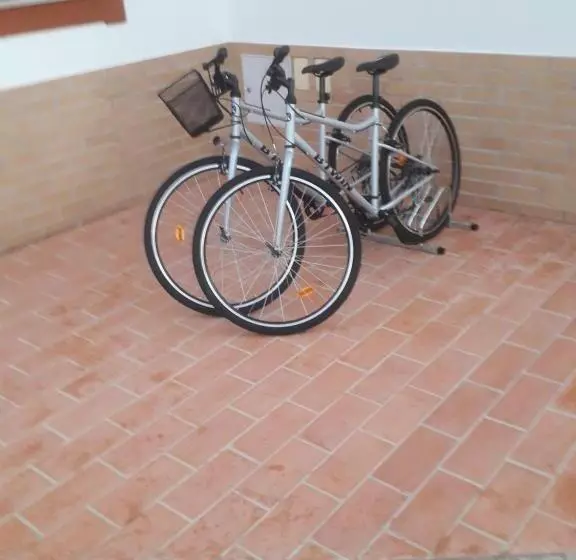 ペンション Alojamento Local Patudos, Suite Com Terraço Privado