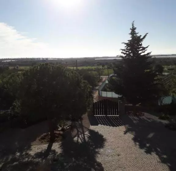 ペンション Alojamento Local Patudos, Suite Com Terraço Privado