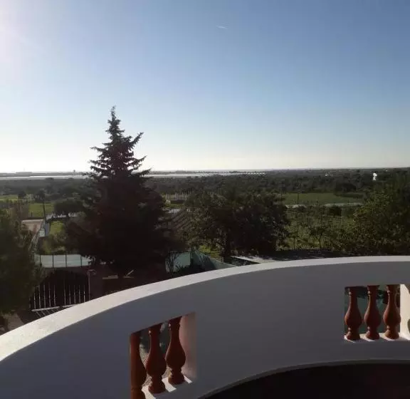 ペンション Alojamento Local Patudos, Suite Com Terraço Privado