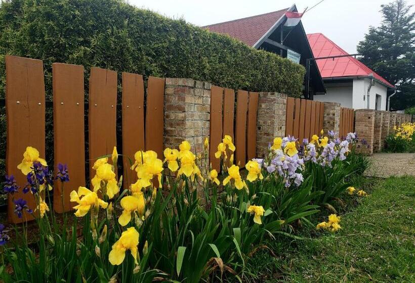 펜션 Dura Vendégház