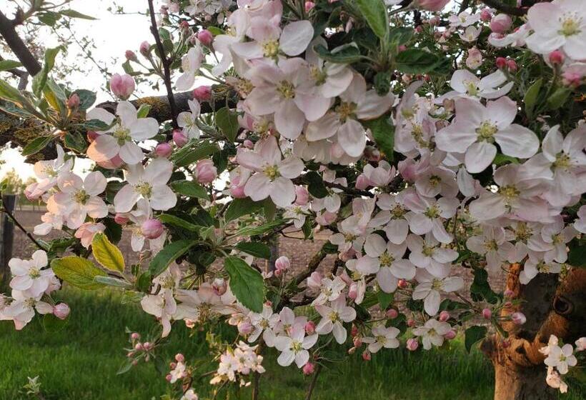 펜션 Dura Vendégház