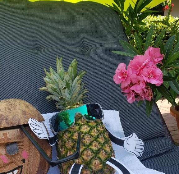 펜션 Dura Vendégház