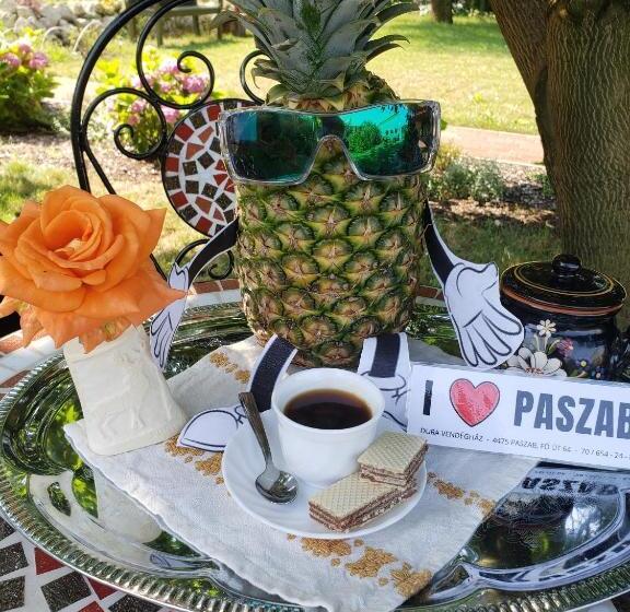 펜션 Dura Vendégház