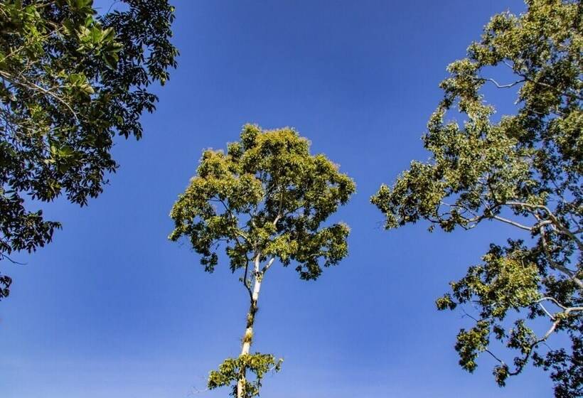 펜션 Hospedaje Amanecer