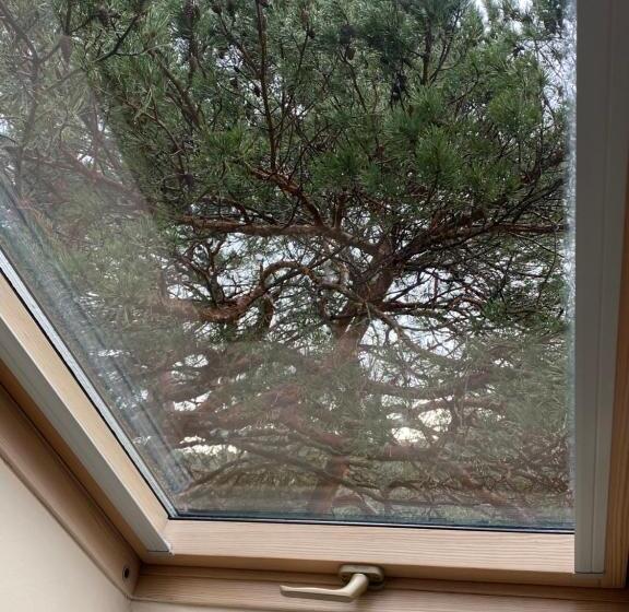 پانسیون Vila Claudia